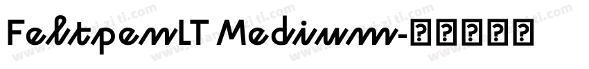 FeltpenLT Medium字体转换